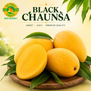 black_chaunsa mango