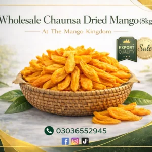 Wholesale Chaunsa Dried Mango 8kg in Pakistan
