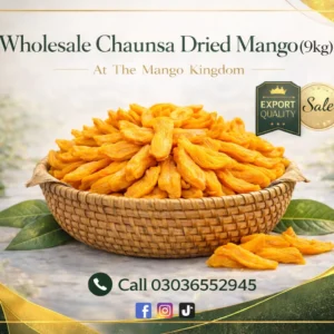 Wholesale Chaunsa Dried Mango 9kg