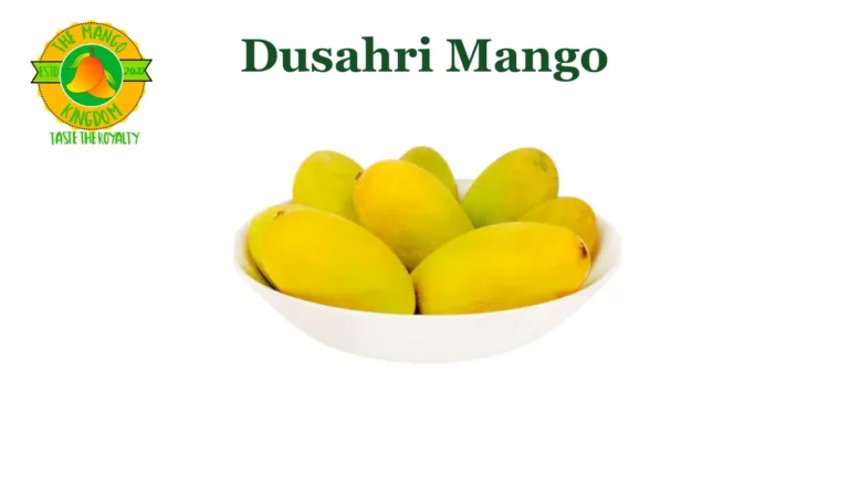 dasheri mango