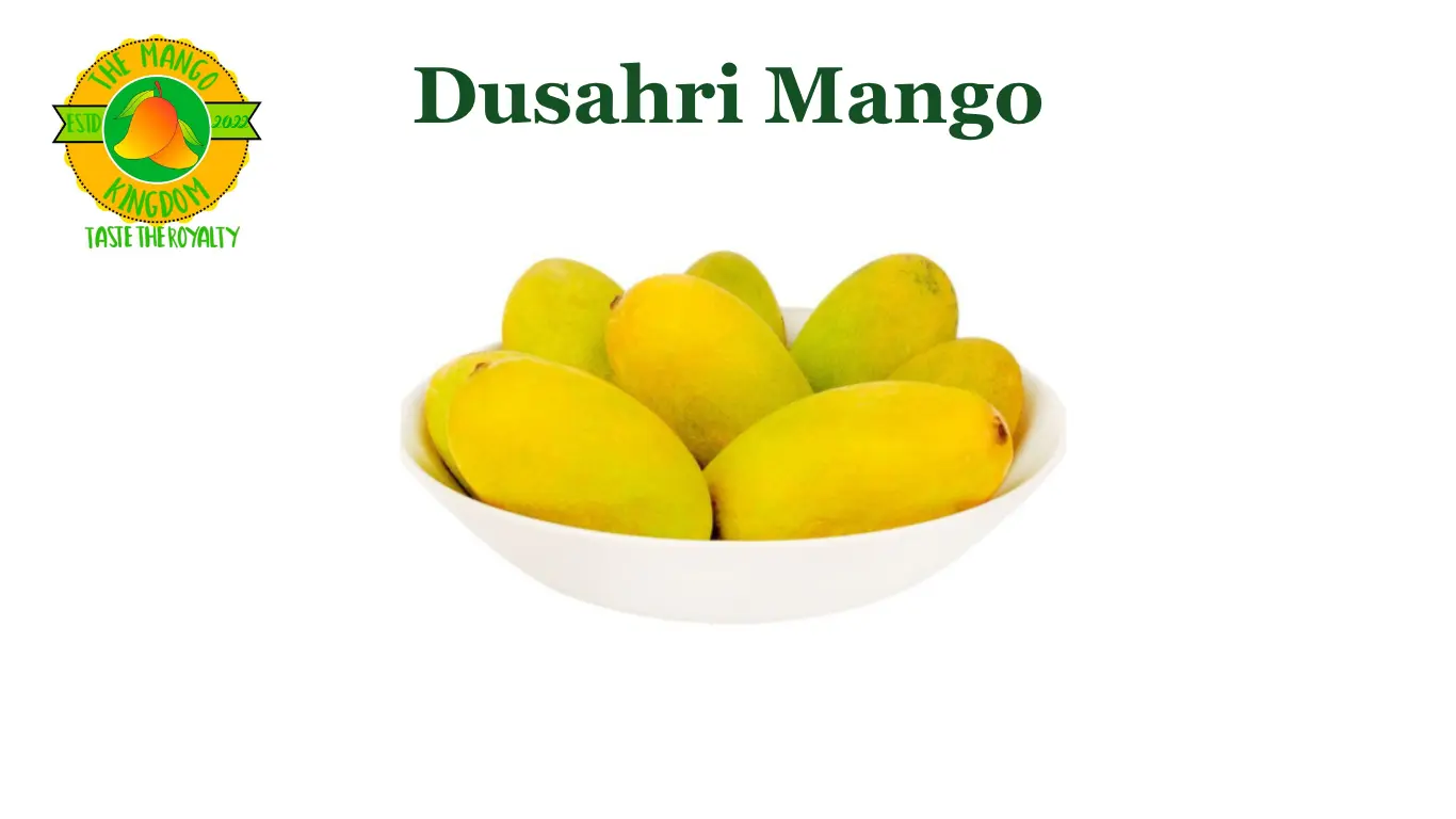 dasheri mango