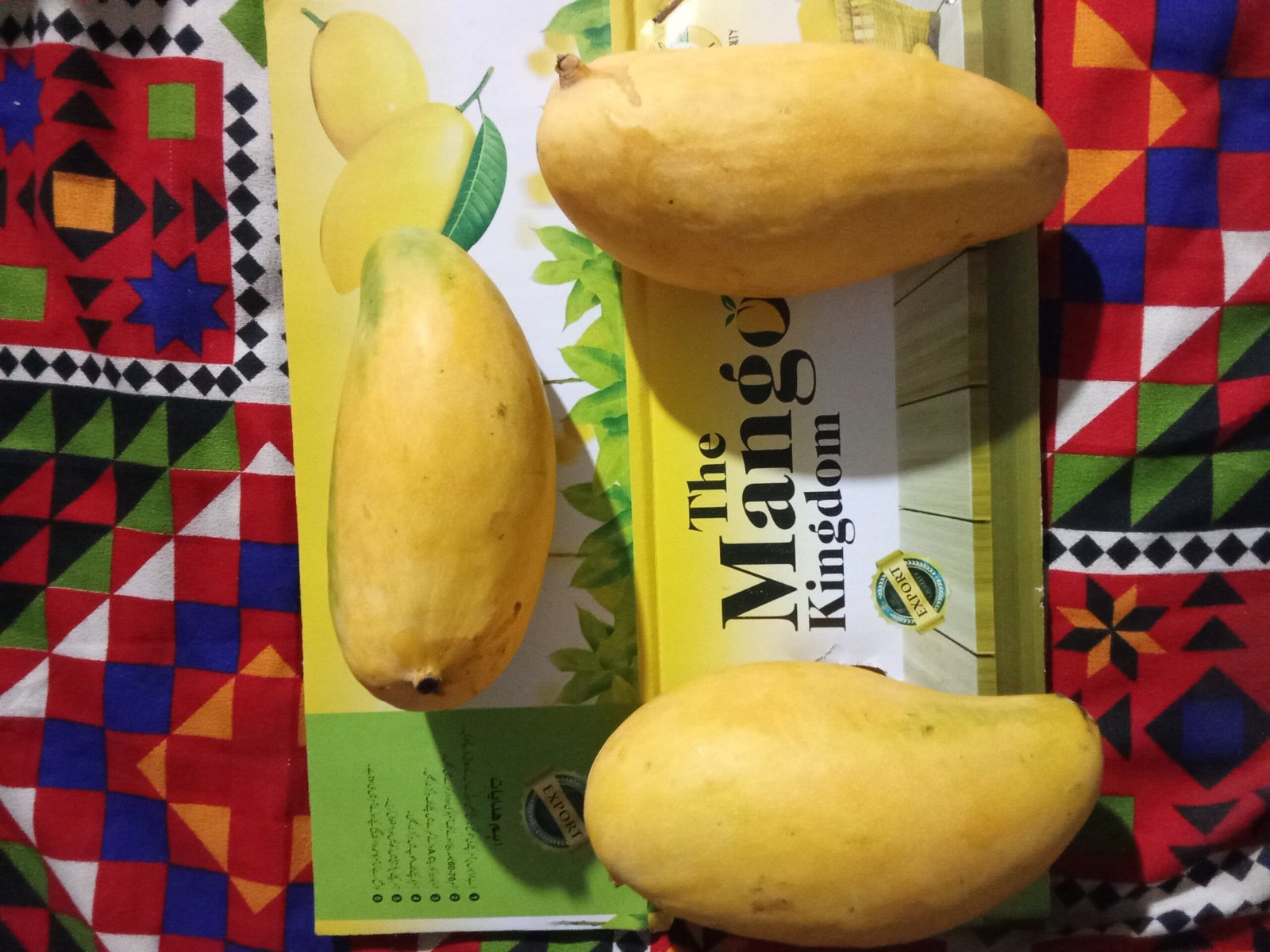 WhatsApp Image 2025 07 16 at 00.24.58 d8102333 scaled