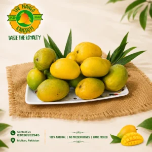 anwar ratol mango