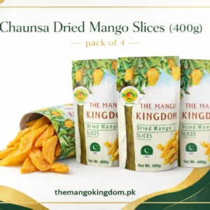 400g dried mango slices in Pakistan