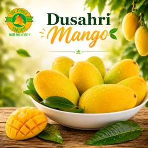 dusahri mango