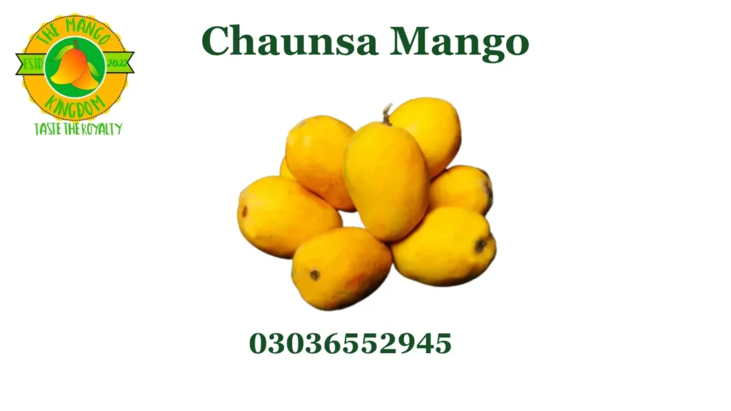 Chaunsa Mango – Best Mango in Pakistan, Price & Season Guide 2026 5 multani white chaunsa
