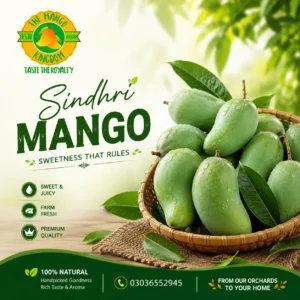 sindhri_mango_