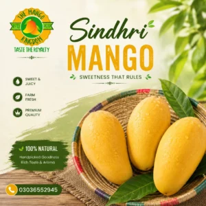 sindhri_mango