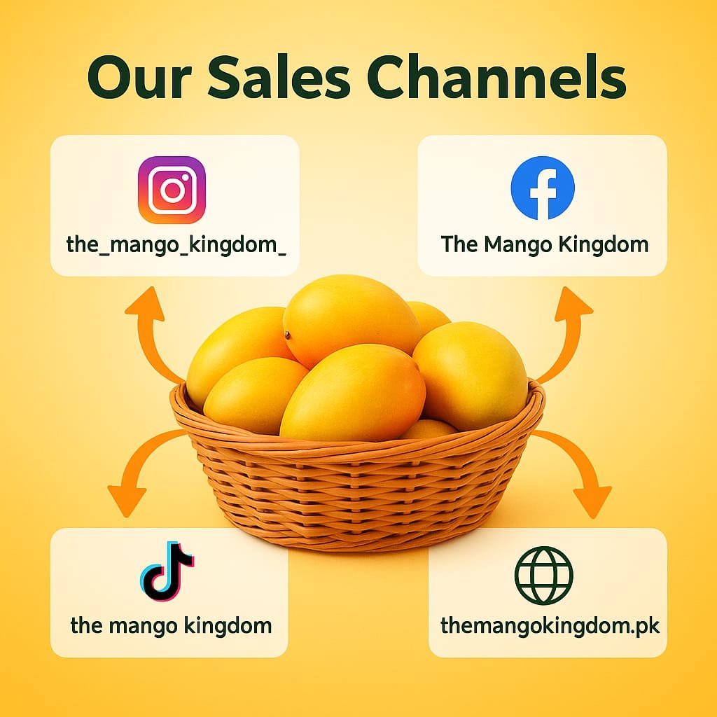 our sales channels