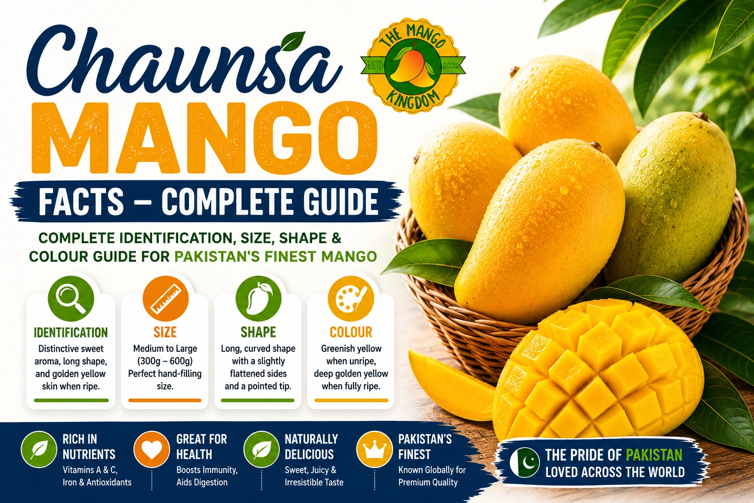 Chaunsa Mango Facts – Complete Identification, Size, Shape & Colour Guide for Pakistan's Finest Mango 1 chaunsa mango facts.