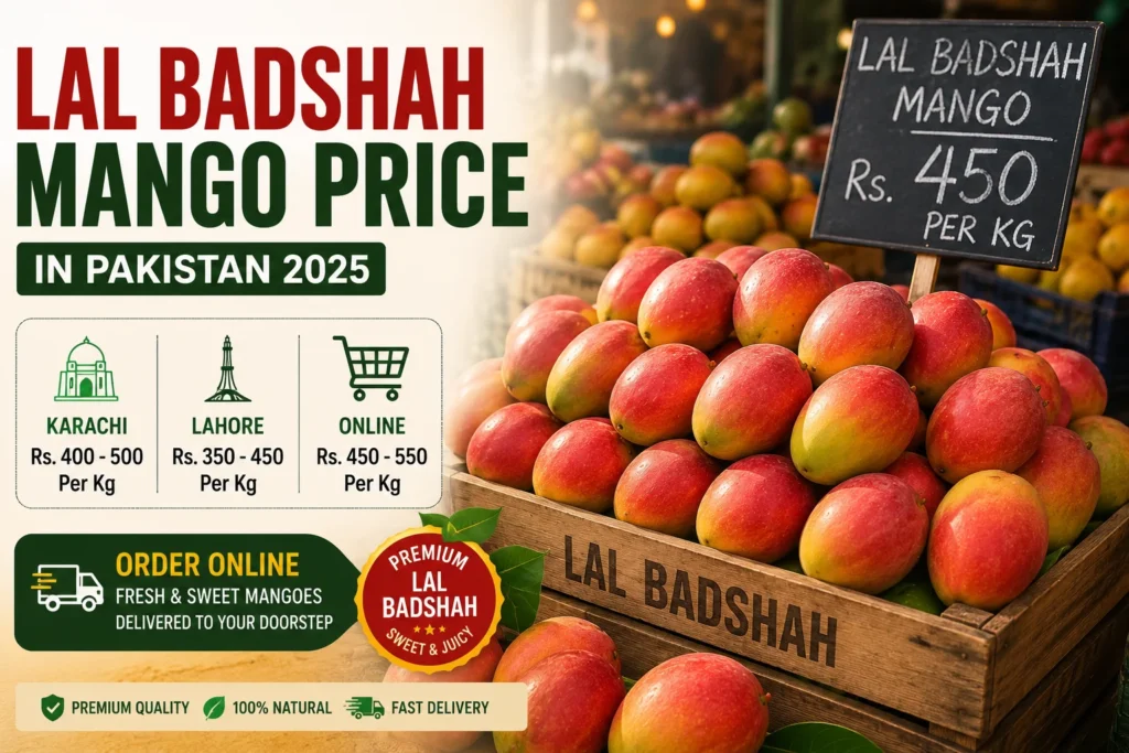 Lal Badshah Mango Price in Pakistan 2025 — Karachi, Lahore & Online Rates 2 Fresh Lal Badshah mangoes displayed at a Pakistani market stall showing mango prices in Pakistan